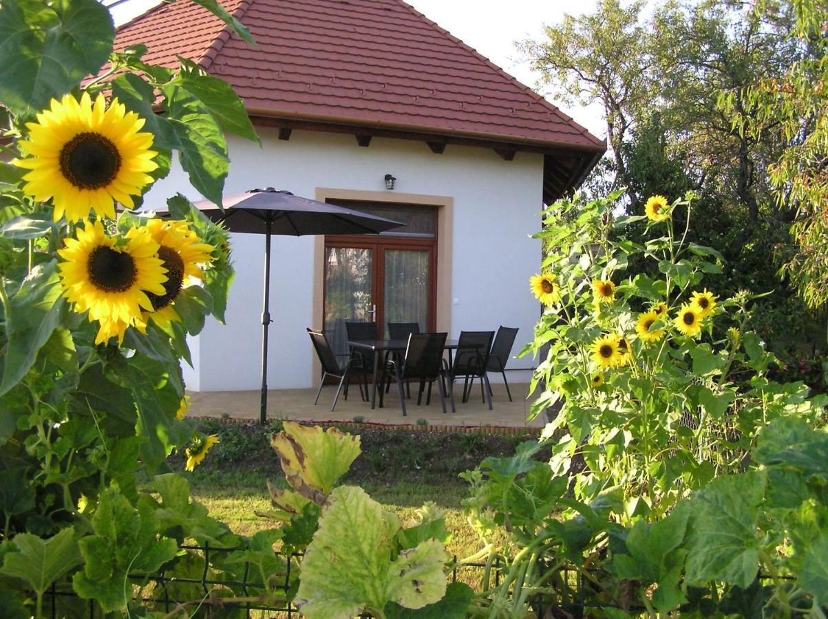 Apartament Egrelato Vendeghaz Balatonakali Zewnętrze zdjęcie